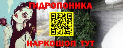 гашик Краснознаменск