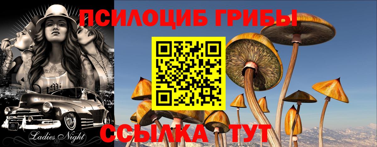Галлюциногенные грибы ЛСД Конаково